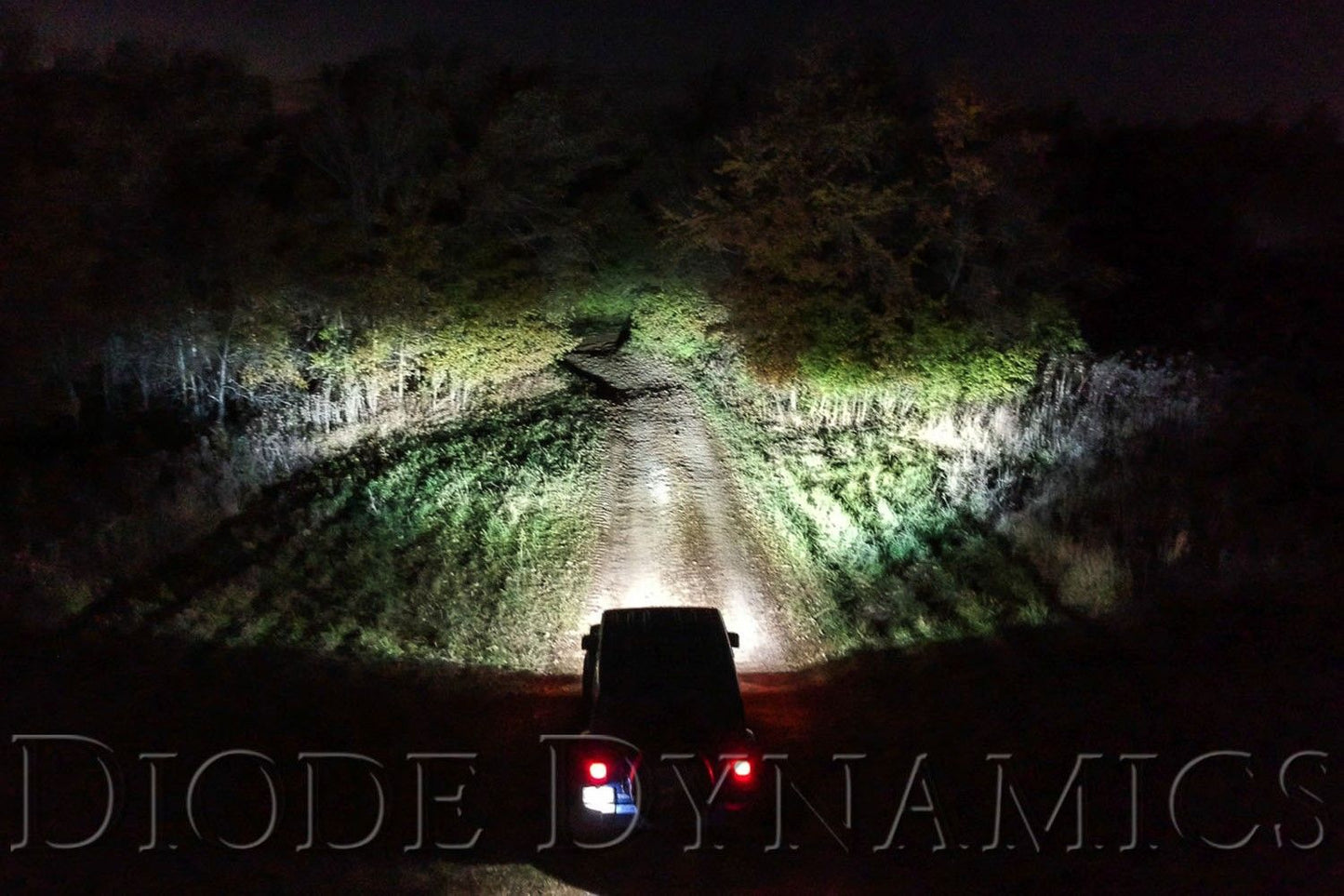 Diode Dynamics SS3 LED Fog Light Kit for 2014-2024 Toyota 4Runner